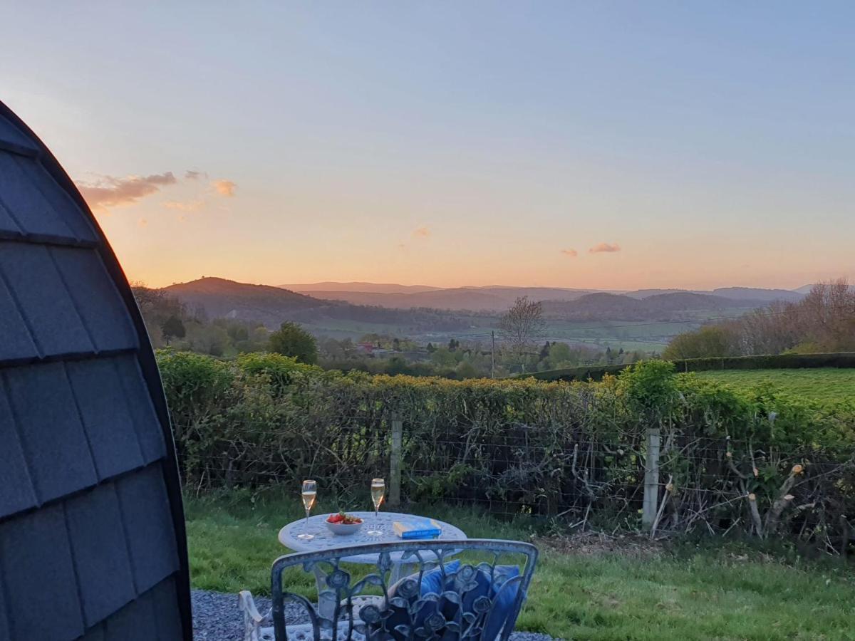 Odli Glamping - Luxury Glamping Pod Villa Welshpool Bagian luar foto